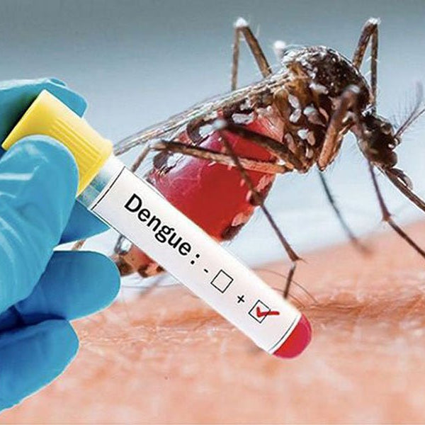 Dengue NS1 Antigen
