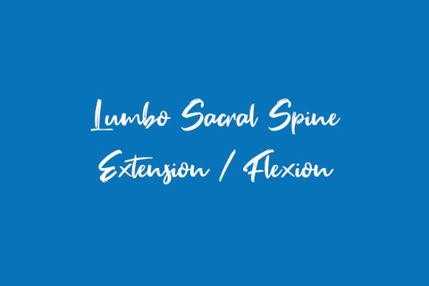 Lumbo Sacral Spine Extension / Flexion Views Dr Essa Laboratory and Diagnostic Centre
