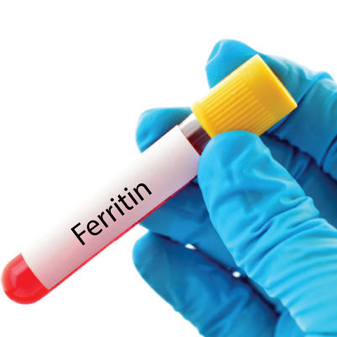 Ferritin Dr Essa Laboratory and Diagnostic Centre