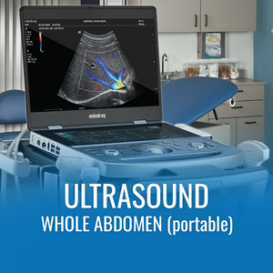 U/S Whole Abdomen - Portable