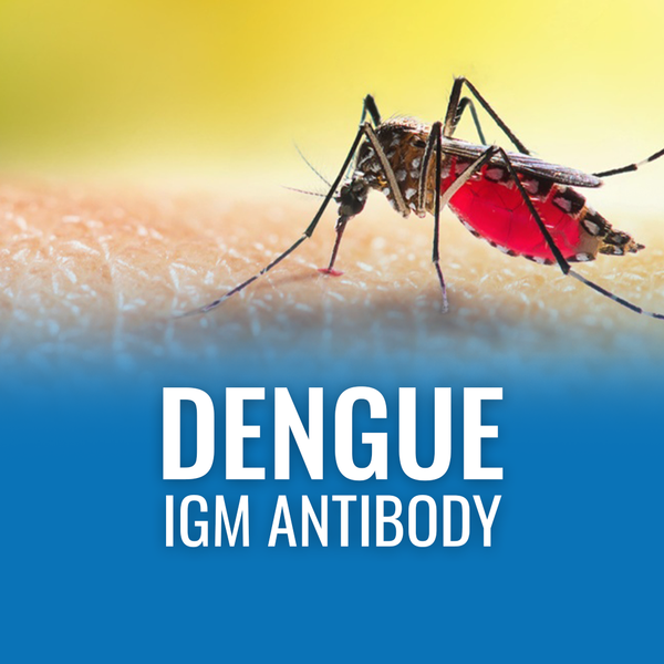 Dengue IgM Antibody