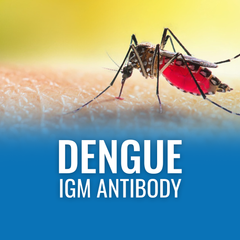 Dengue IgM Antibody