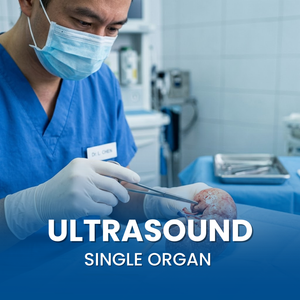 Ultrasound Single Organ (Portable)