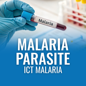 MP-ICT Test – Malaria Parasite Detection
