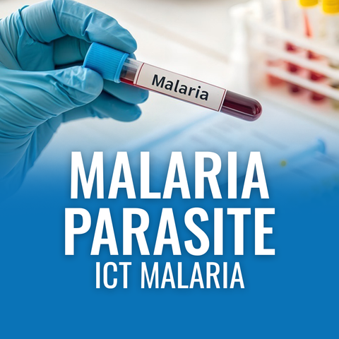 MP-ICT Test – Malaria Parasite Detection