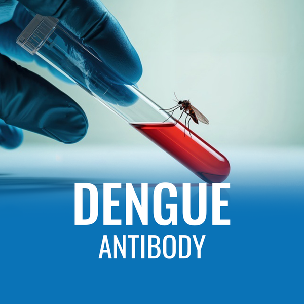 Dengue Antibody