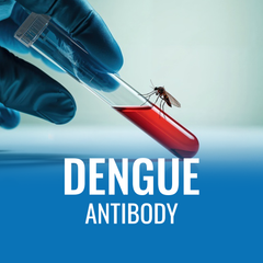 Dengue Antibody