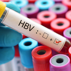 HBV Qualitative PCR