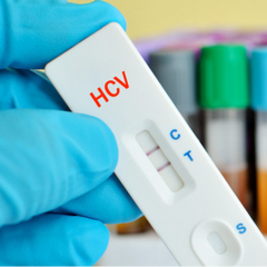 HCV Genotype PCR