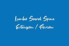 Lumbo Sacral Spine Extension / Flexion Views Dr Essa Laboratory and Diagnostic Centre