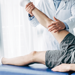 Physiotherapy 2 Visit EssaLaboratory